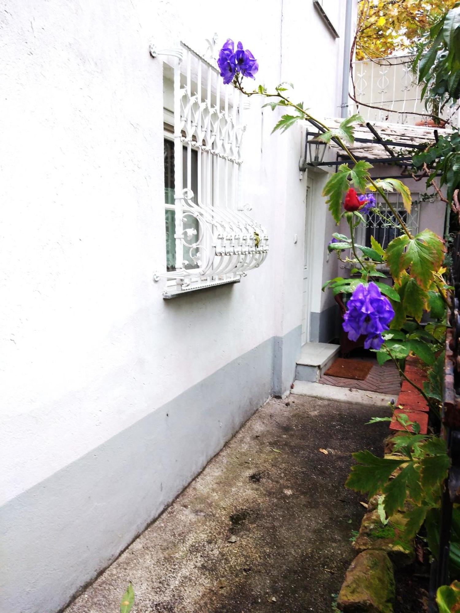 דירות וורמס Appertment Im Garten מראה חיצוני תמונה